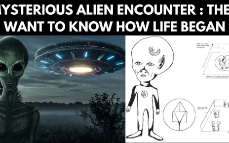 The Mysterious UFO Abduction of Paulo Coutinho in Brazil